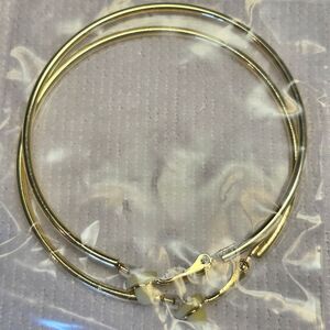 Elegant Gold Hoop Earrings, NIP